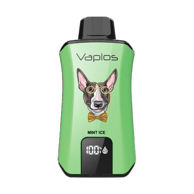 18000 Puffs Disposable Vape With Air Flow Adjust and Support Print Customers Logo