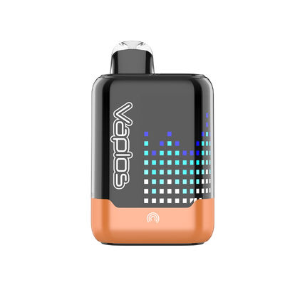 35000 Puff Disposable Vape with Air Flow Adjustable and Type C Port for Big Smoke