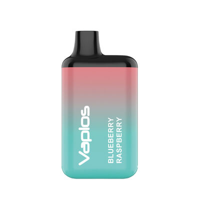 5000 Puffs Mesh Coil Disposable Vape