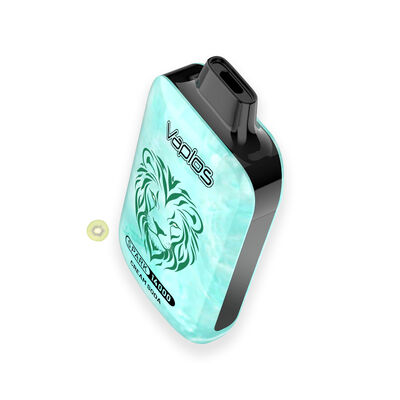 Prefilled Disposable Vape device equipped with 500mAh battery 15ml e liquid