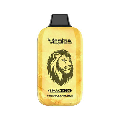 Prefilled Disposable Vape device equipped with 500mAh battery 15ml e liquid